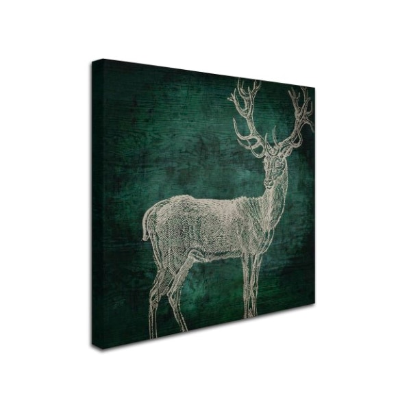 Color Bakery 'Emerald Deer' Canvas Art,14x14